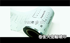 AS-16/32 �����ɱ�������ӡϵͳTechnical Parameters