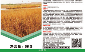 �����ǩ��īӡˢ�豸��������Technical Parameters